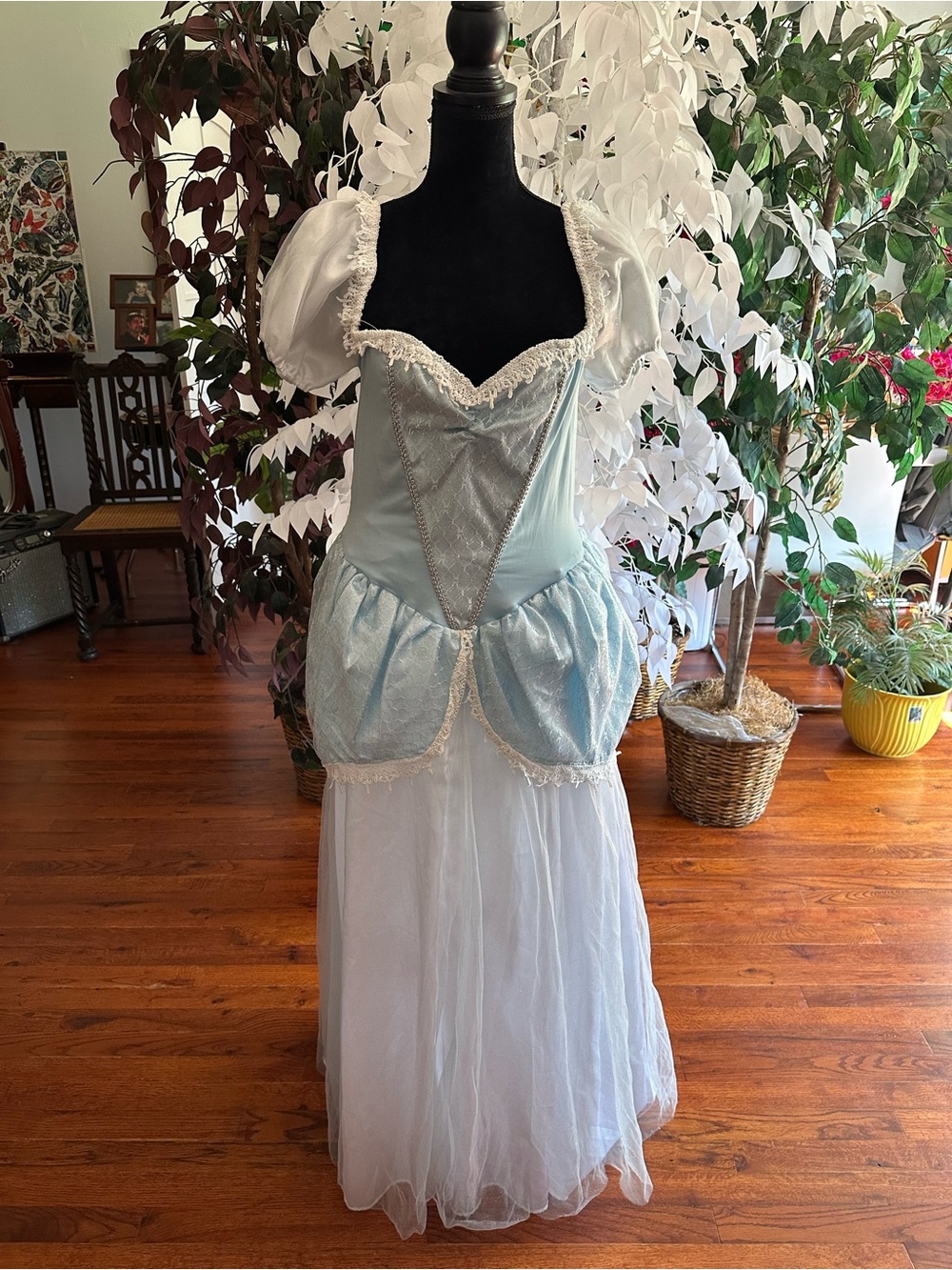 Quality Cinderella costume! Plus Disney princess gown, Halloween ballroom dress